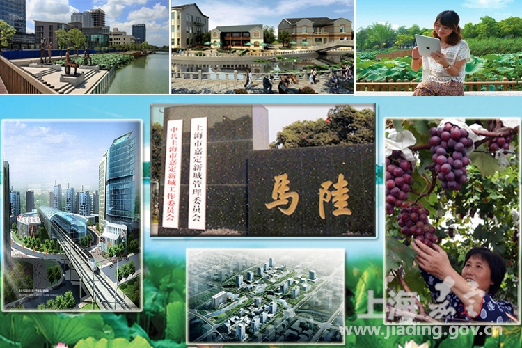 张江高科_张江 产业 收入(3)