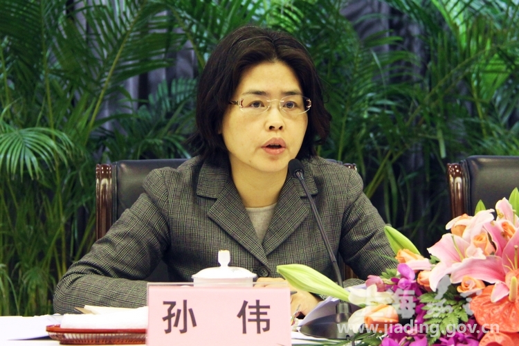 孙伟出席会议并讲话