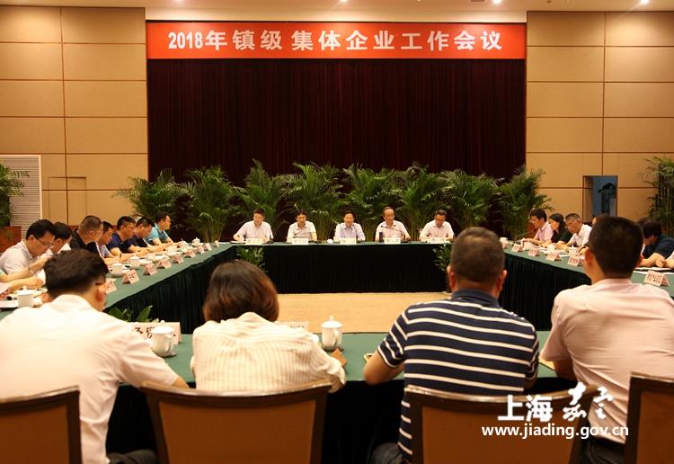安亭镇经济总量_经济图片
