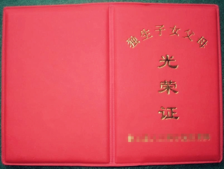 《上海市人口与计划生育条例》_人口与计划生育手抄报(3)