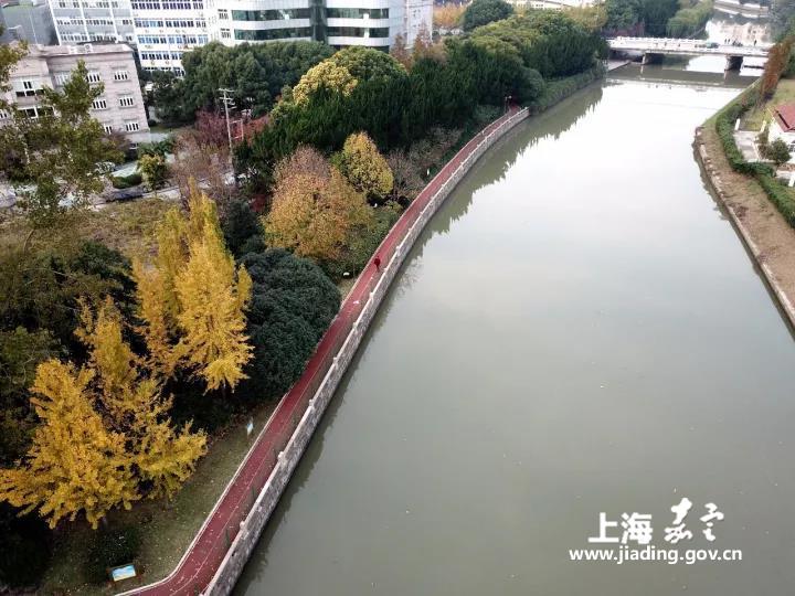 嘉定 环城河步道权威信息一网打尽 申城的"千年清明上河图"