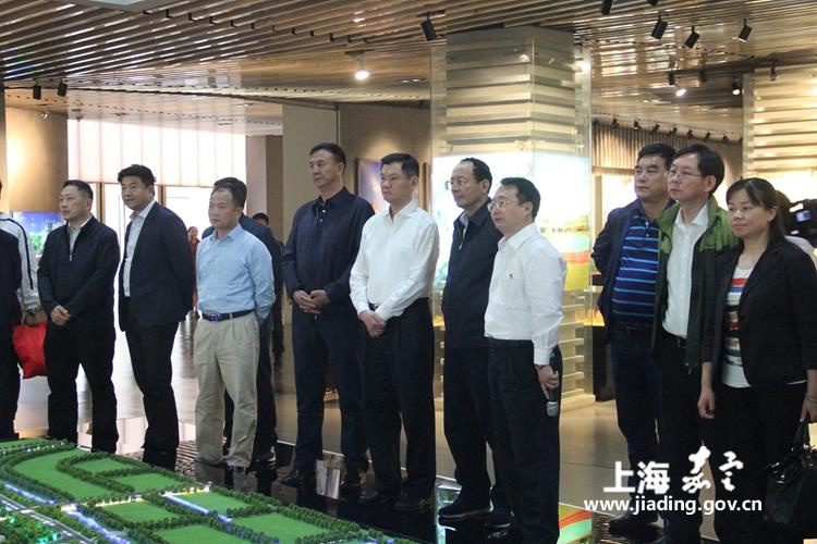 嘉定区人口_嘉定扎实推进人口综合服务管理工作(3)