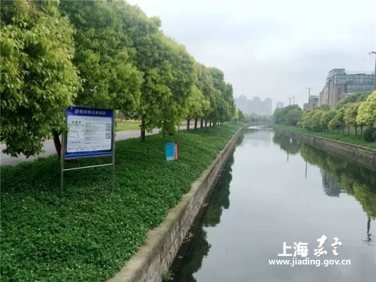 界碑镇人口_绵阳界碑镇至诚汽修(3)