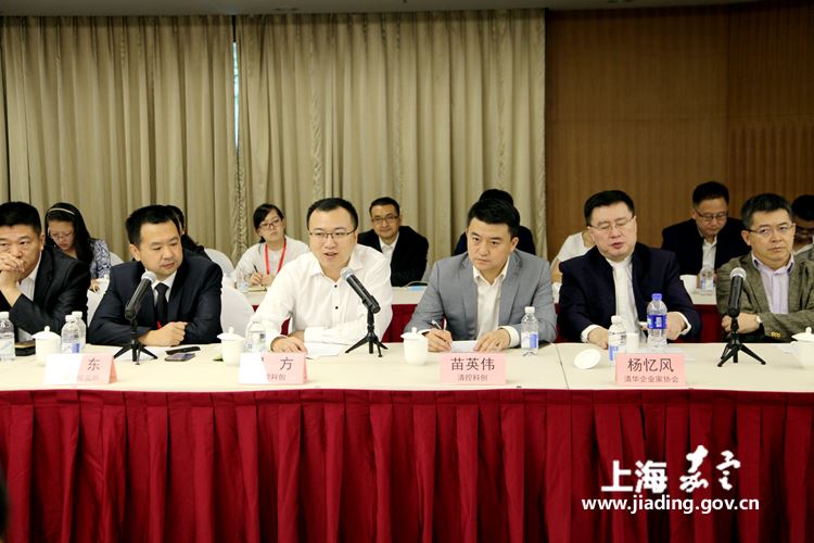 安亭镇经济总量_经济图片(2)