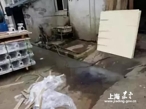 a46d164b987343f2a9ceac034f3474e4.jpg