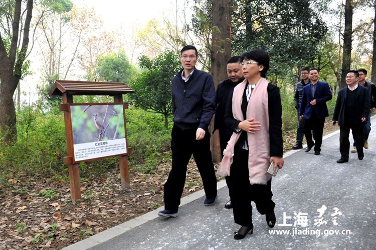马春雷到华亭镇调研工作