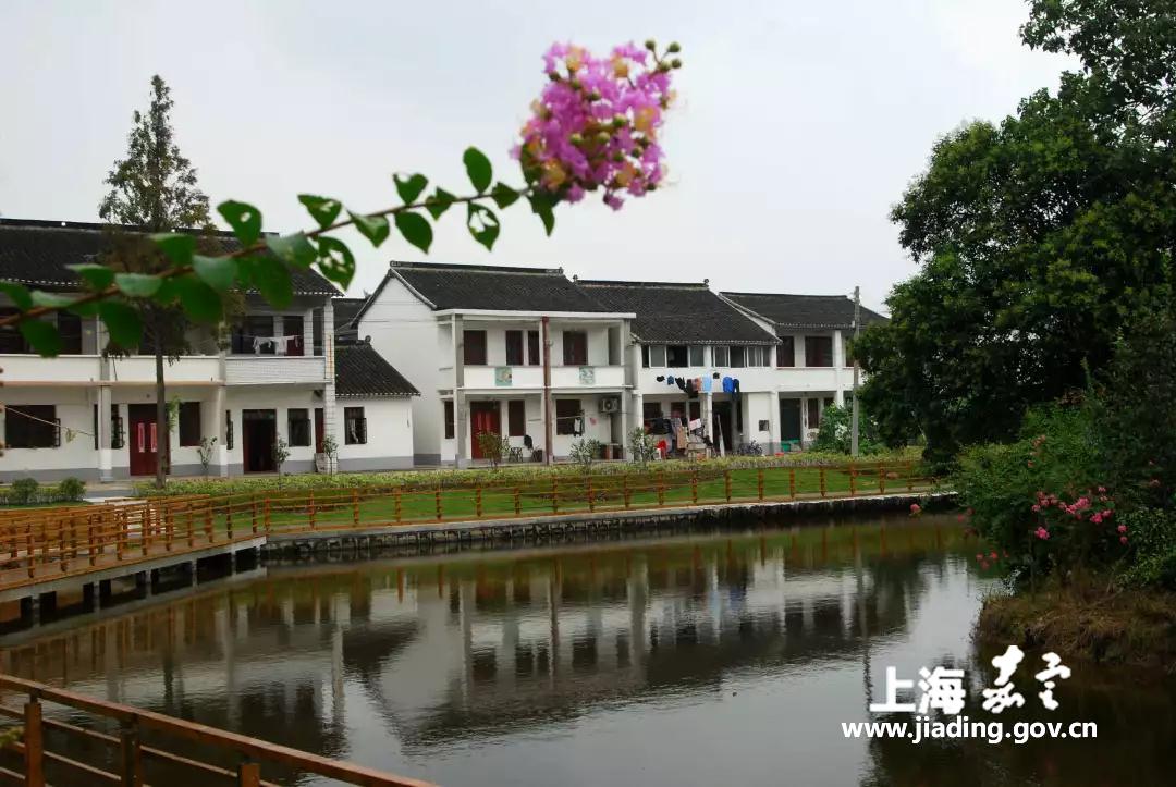 马陆镇大裕村
