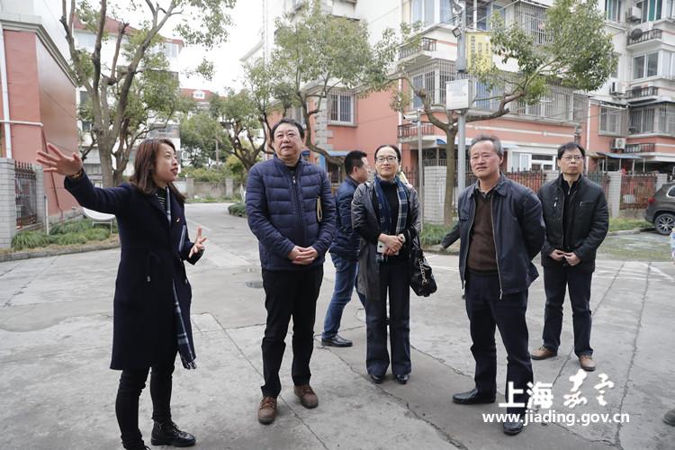 区领导来南翔视察垃圾分类工作