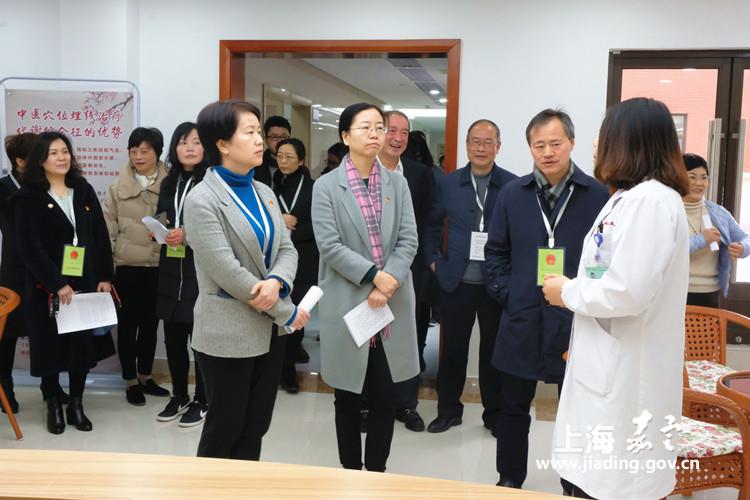 南翔镇人大代表开展视察活动