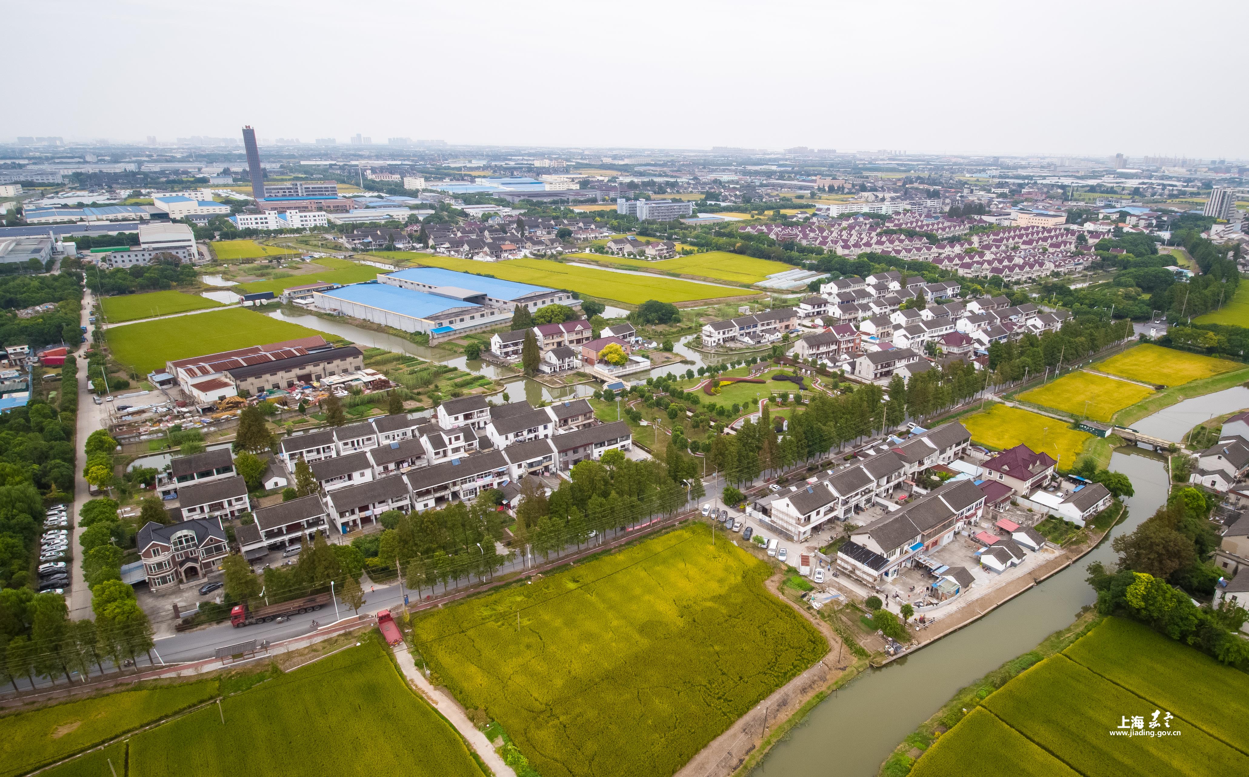 徐行镇曹王村:百家齐争放,庭院落曹王,打造特色农村庭院文化