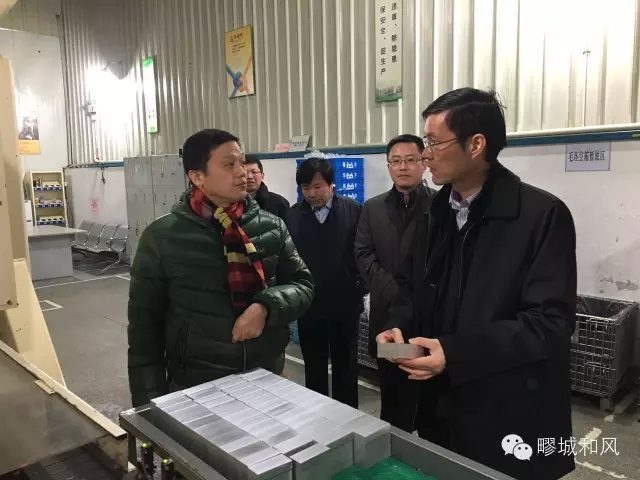 区委书记马春雷到上海瑞尔实业有限公司调研_