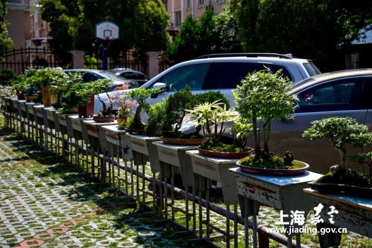 社区辖区内经济总量有多少_女人器官有多少种形状(3)