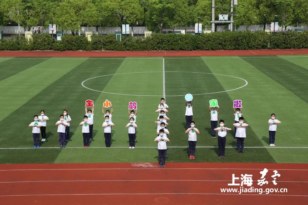 金鹤小学