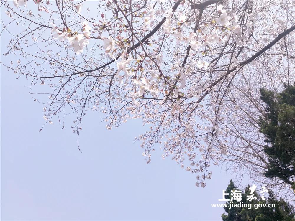 caa04caa3d9f4a1f93b48df99961ca0a.jpg