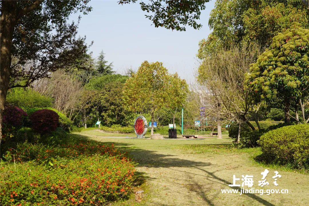 dbe01be22e944913b81bd2f0d7743298.jpg