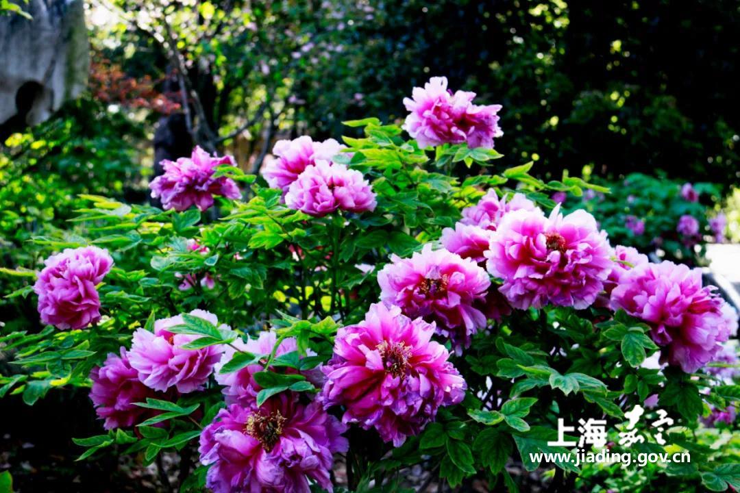 e73bcda7a79847138b3c6fe31c136706.jpg