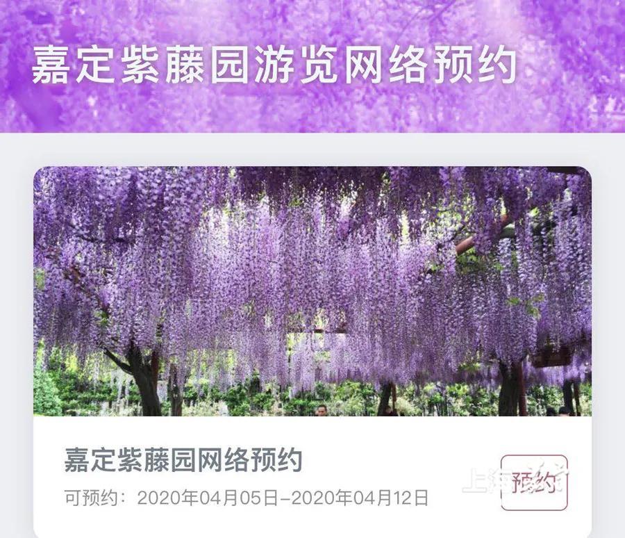 2,进入"上海嘉定"app首页,点击"嘉定紫藤园游览网络预约"