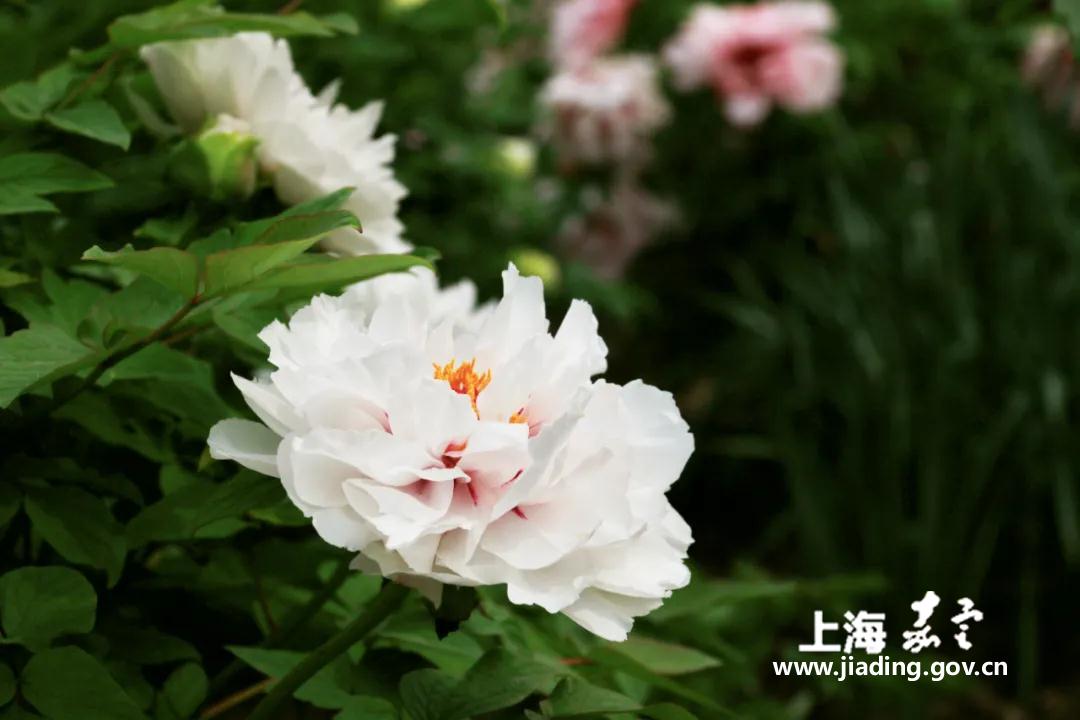 f2dd4f7efbf540d5afec29bc09eb3a7a.jpg