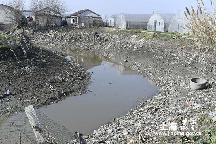 徐行大力整治宅心河 消除河道脏乱差