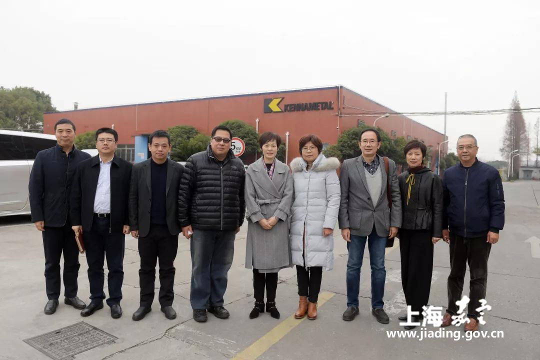 区委常委,副区长董依雯一行赴徐行调研2019年经济运行