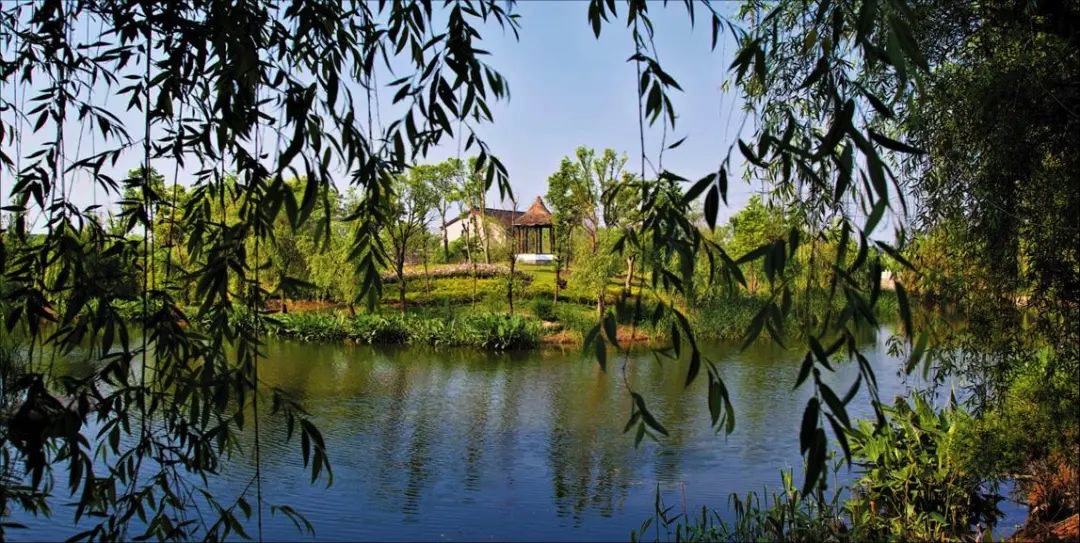 藏不住了！嘉定5个宝藏乡村旅游地，马上安排！