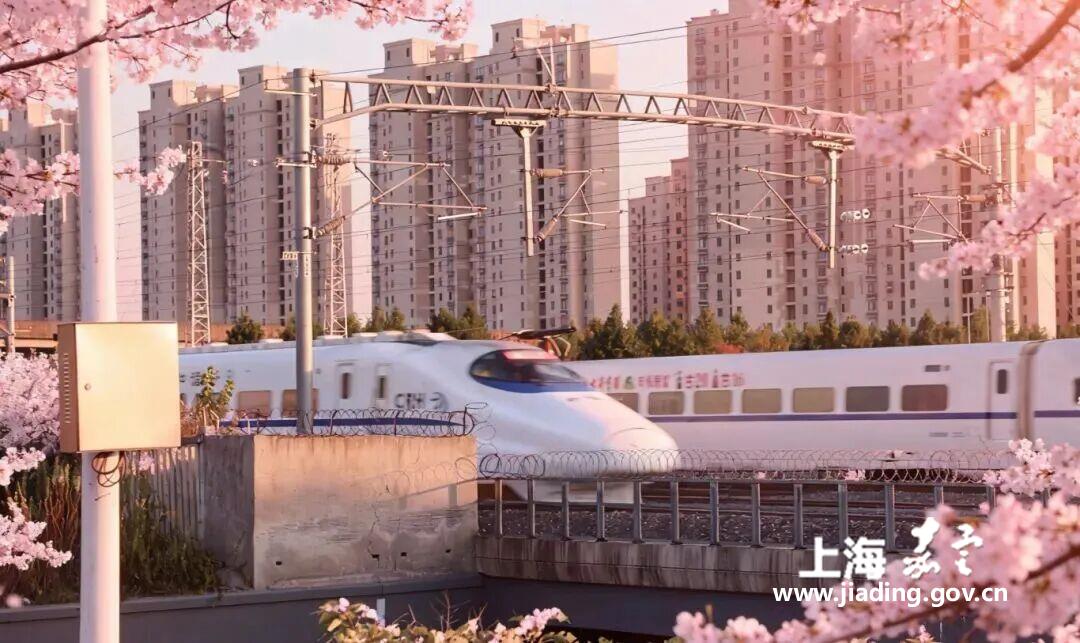 0aea7b8a28b748009e1f05062be453af.jpg 0aea7b8a28b748009e1f05062be453af.jpg