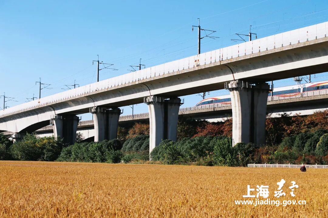 75b0de8efc6d4194ac33664a91d4d65b.jpg 75b0de8efc6d4194ac33664a91d4d65b.jpg