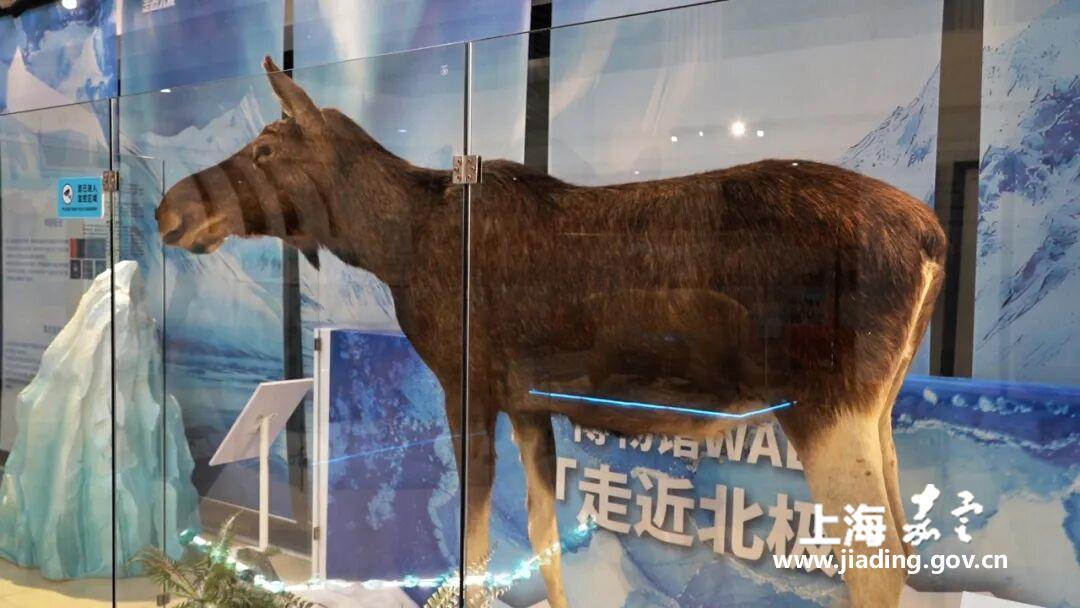 8e996f0bb5414b039422dea3ca2e7547.jpg 8e996f0bb5414b039422dea3ca2e7547.jpg