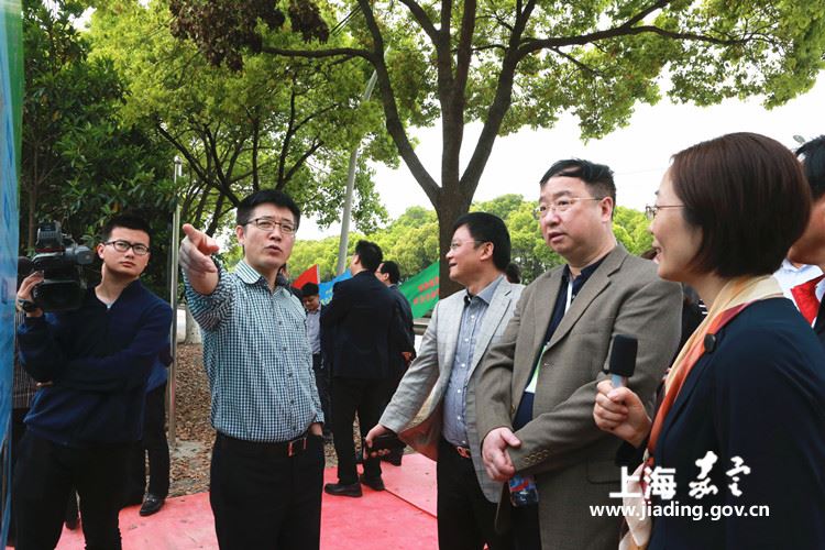 区人大来南翔视察环境整治推进情况_南翔镇_街镇信息_街镇频道_上海市