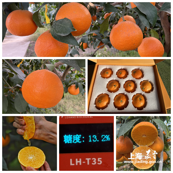 5025c794ecf1404fbd02508afde2ddea.png