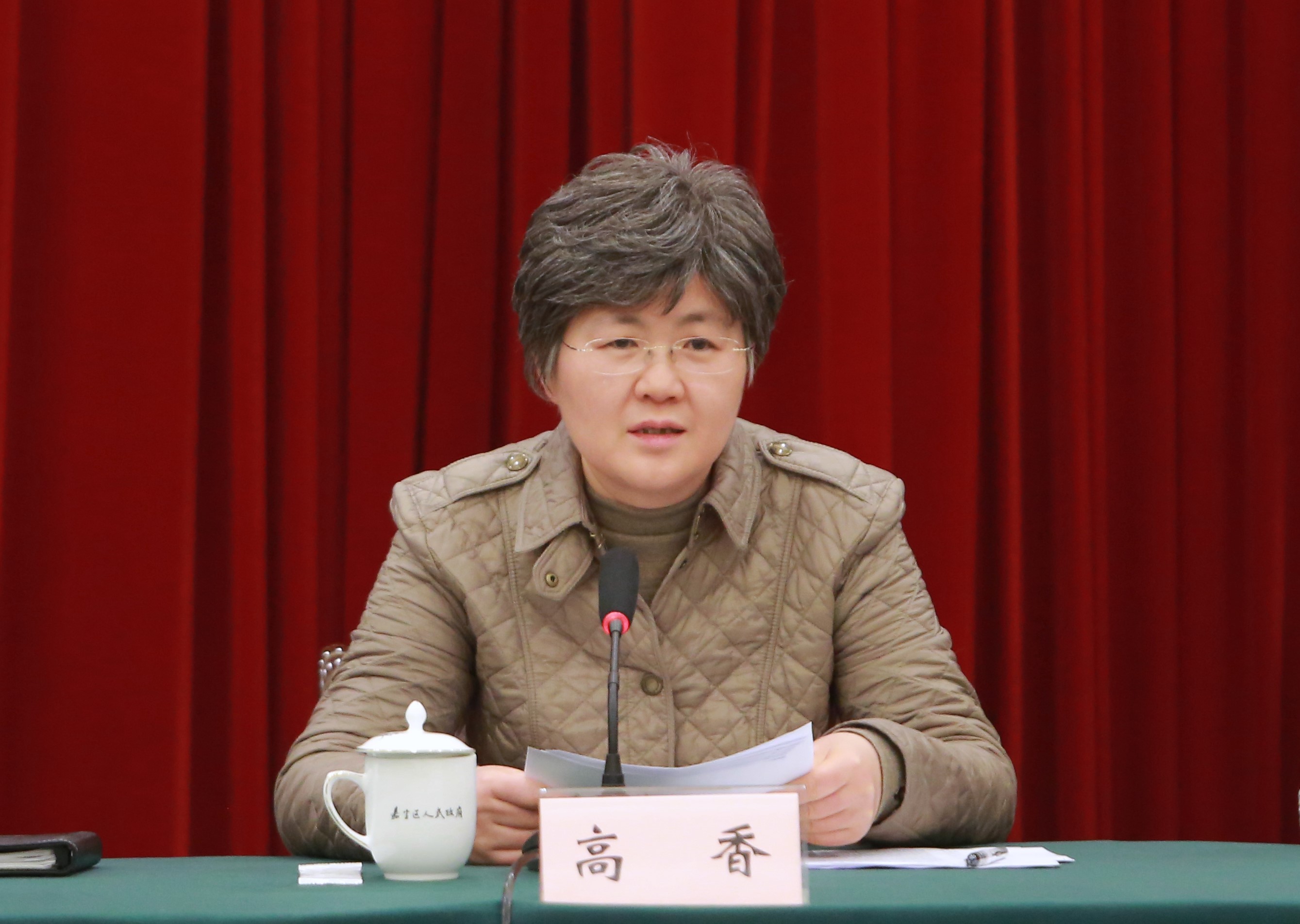 区委副书记,区长高香简要通报了嘉定区经济社会发展情况.