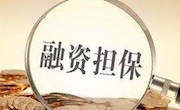七部门：对政府性融资担保机构实施名单制管理