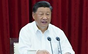 习近平在扎实推进长三角一体化发展座谈会上强调：紧扣一体化和高质量抓好重点工作 推动长三角一体化发展不断取得成效