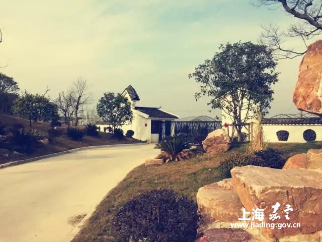 6d90b86457044a23b78e1126b192ca12.jpg