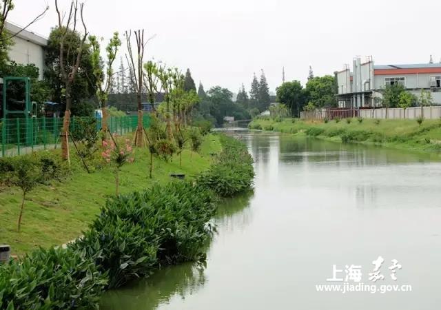 a145aacf3faf4416b9e7197fed68d3da.jpg