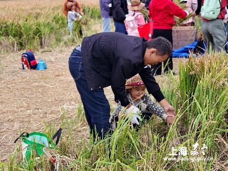 20d3eea077184eedb2152ae5fc921276.Jpeg 20d3eea077184eedb2152ae5fc921276.Jpeg