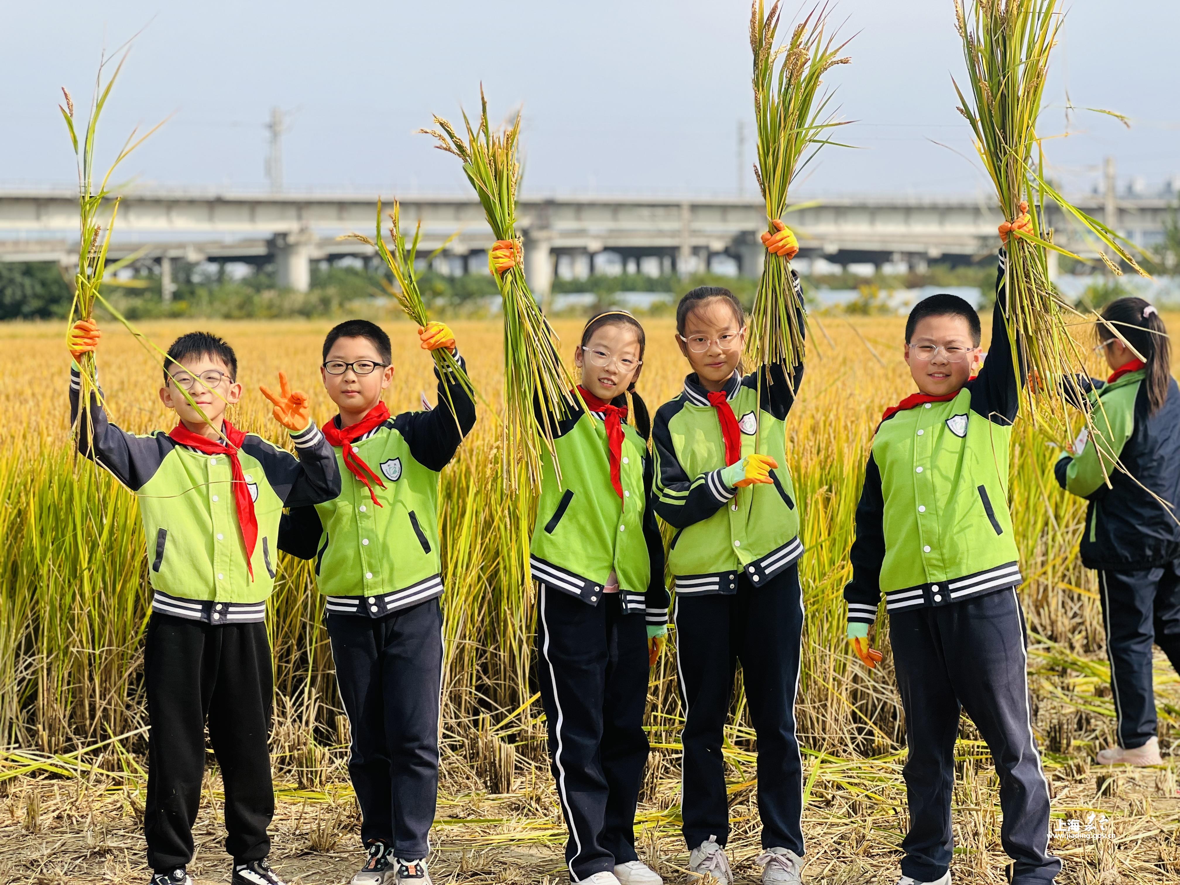 213c4d0e758f43c0b2cdf698d31963e9.JPG 213c4d0e758f43c0b2cdf698d31963e9.JPG