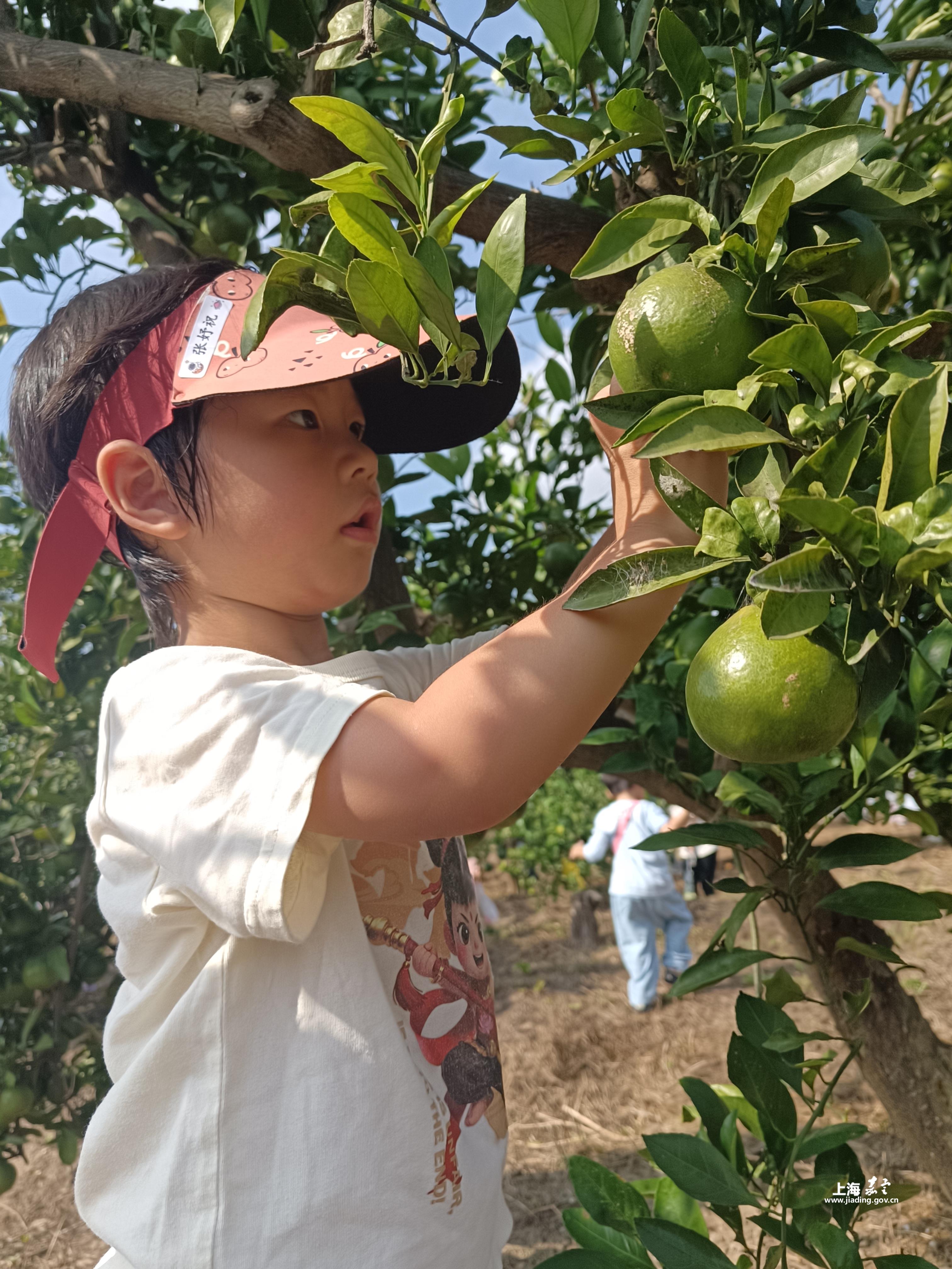 2952fcaf1ee64887b3a81e942f9227ee.jpg 2952fcaf1ee64887b3a81e942f9227ee.jpg