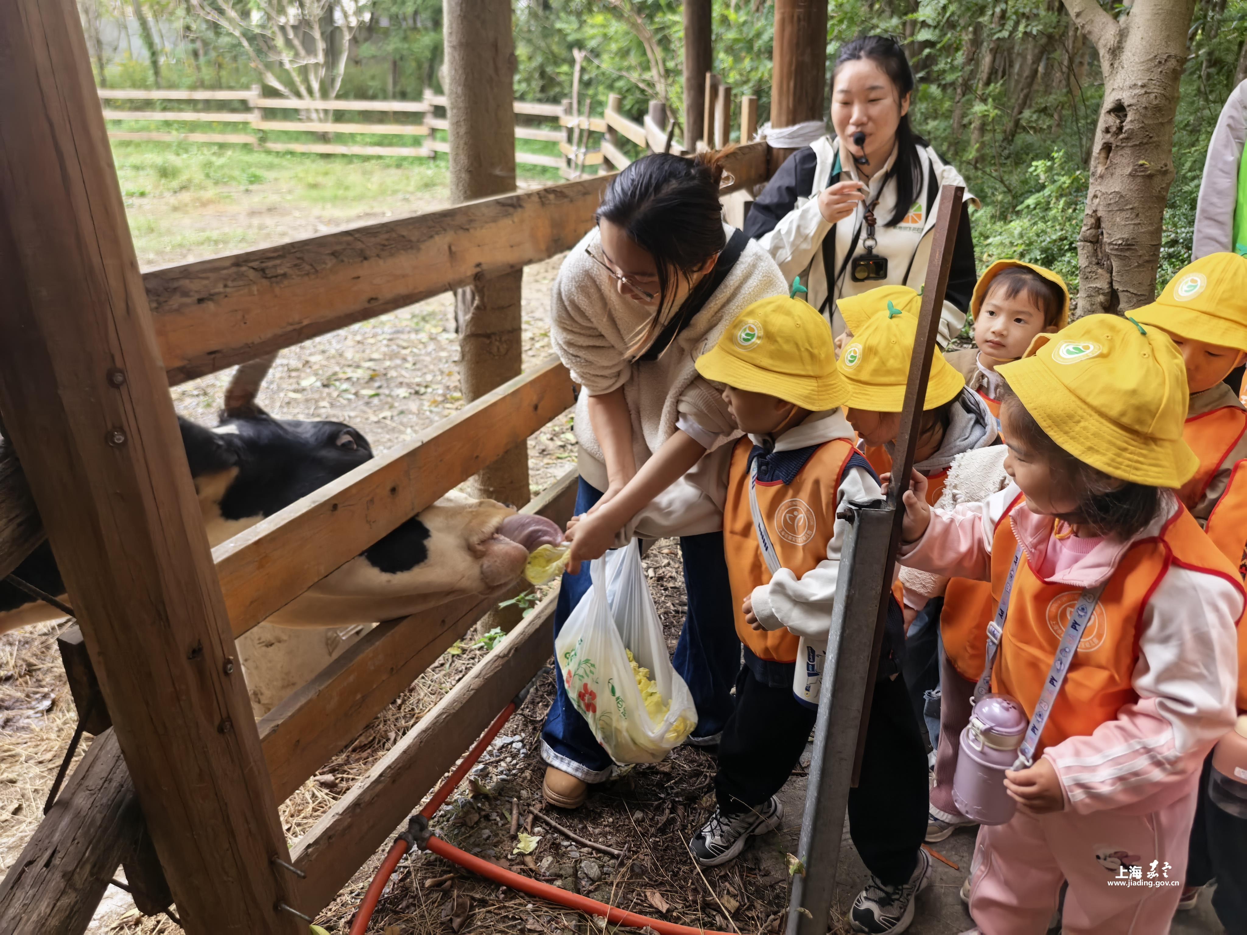 3a02f0e4a8c2439b83aa60a2ae599861.Jpeg 3a02f0e4a8c2439b83aa60a2ae599861.Jpeg