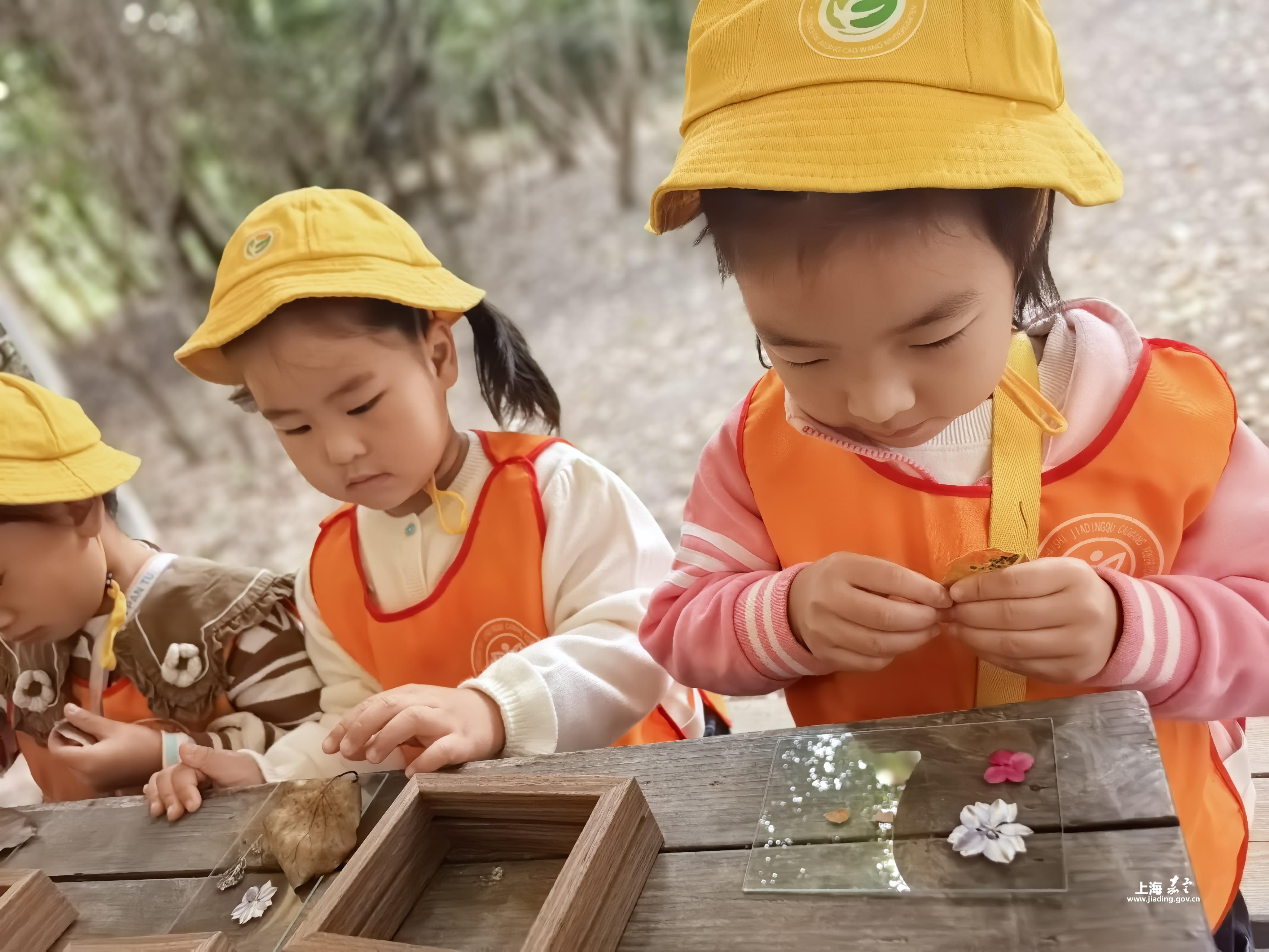 462b24a0d7e8480e83570af0e25903c7.Jpeg 462b24a0d7e8480e83570af0e25903c7.Jpeg