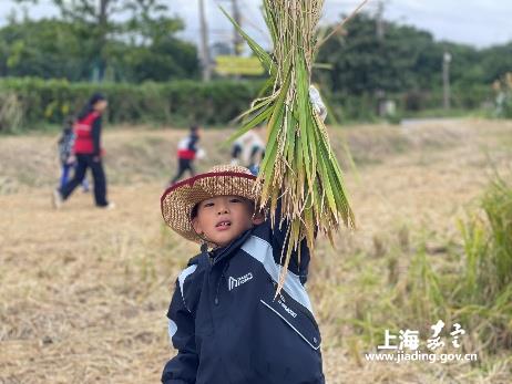 49ece885802549feb6f4b2b0f265612d.Jpeg 49ece885802549feb6f4b2b0f265612d.Jpeg