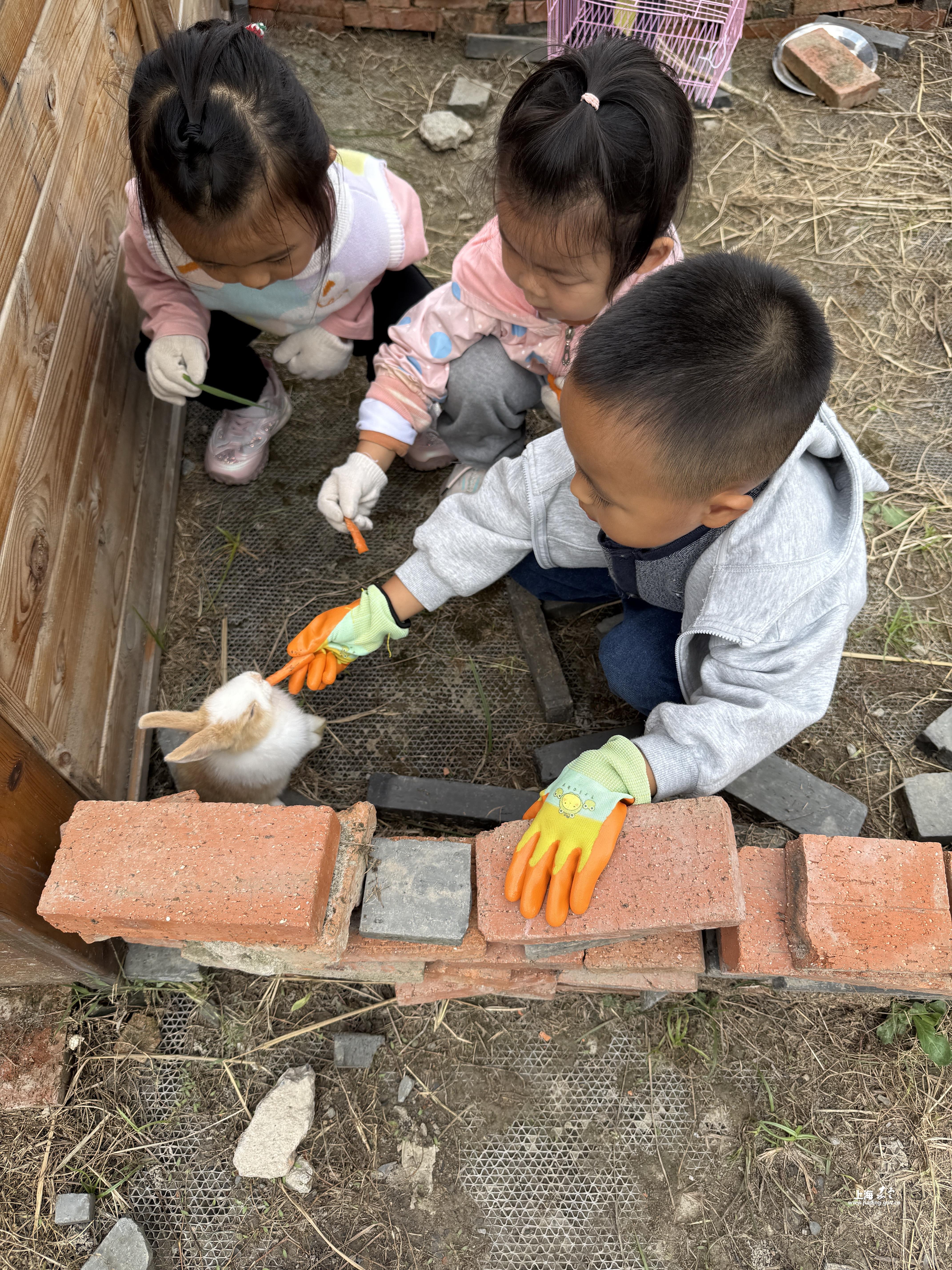 52fb5e74c90e4ffe97d2dc7aceda47bf.JPG 52fb5e74c90e4ffe97d2dc7aceda47bf.JPG