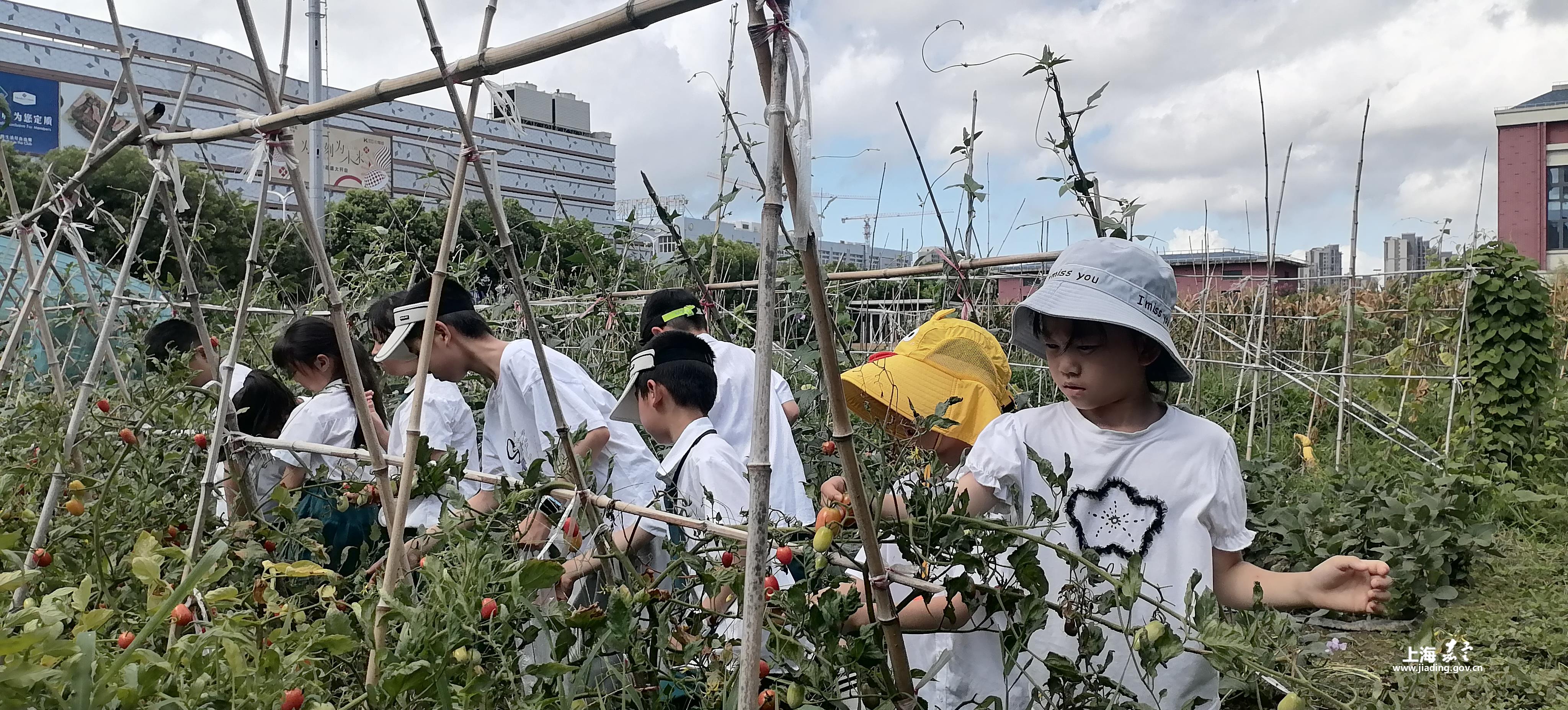 6668f06b7a1f4354b584a4e5cecadd19.Jpeg 6668f06b7a1f4354b584a4e5cecadd19.Jpeg