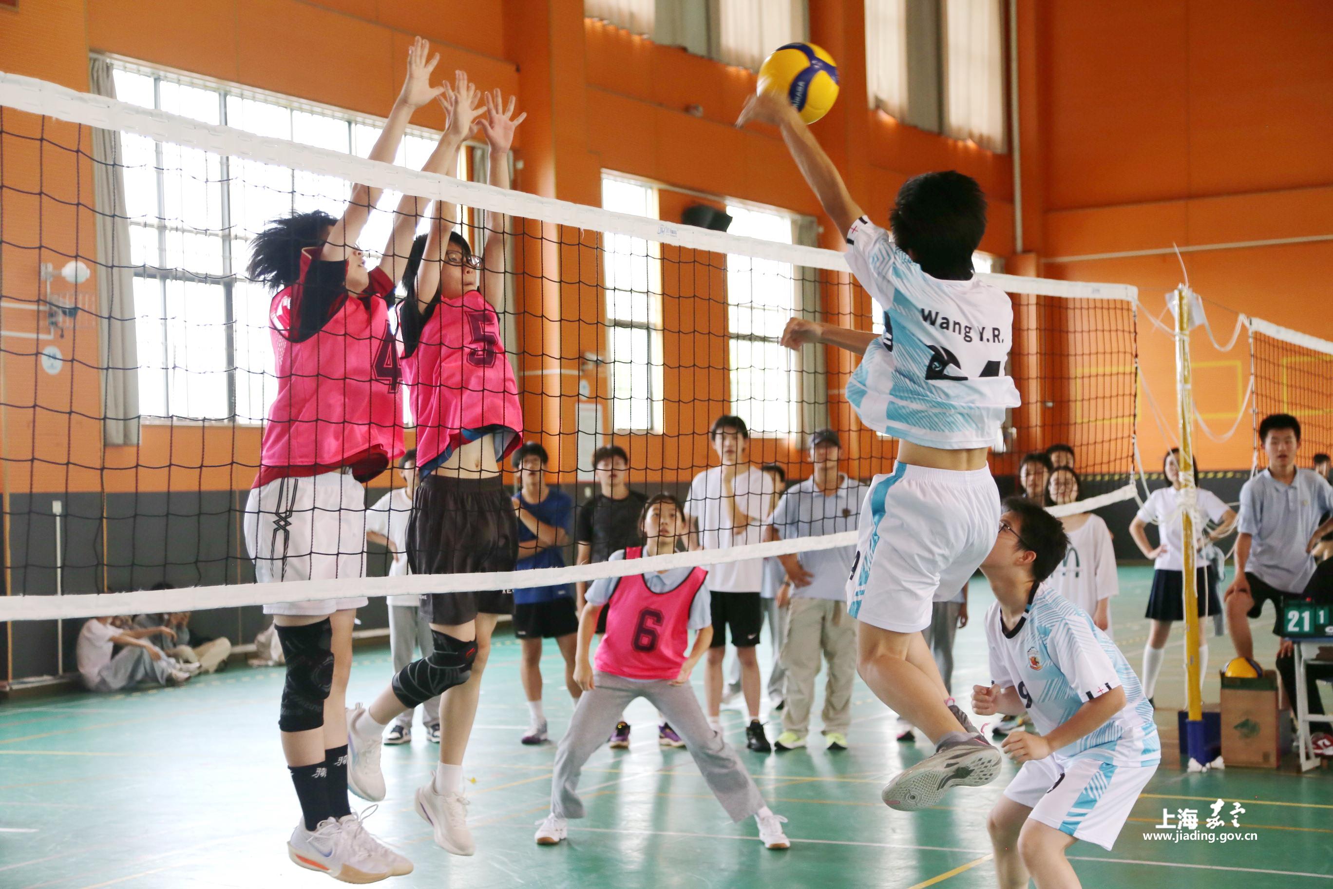 6777b9ff7ed******9828d8e3a77a6f61.JPG 6777b9ff7ed******9828d8e3a77a6f61.JPG