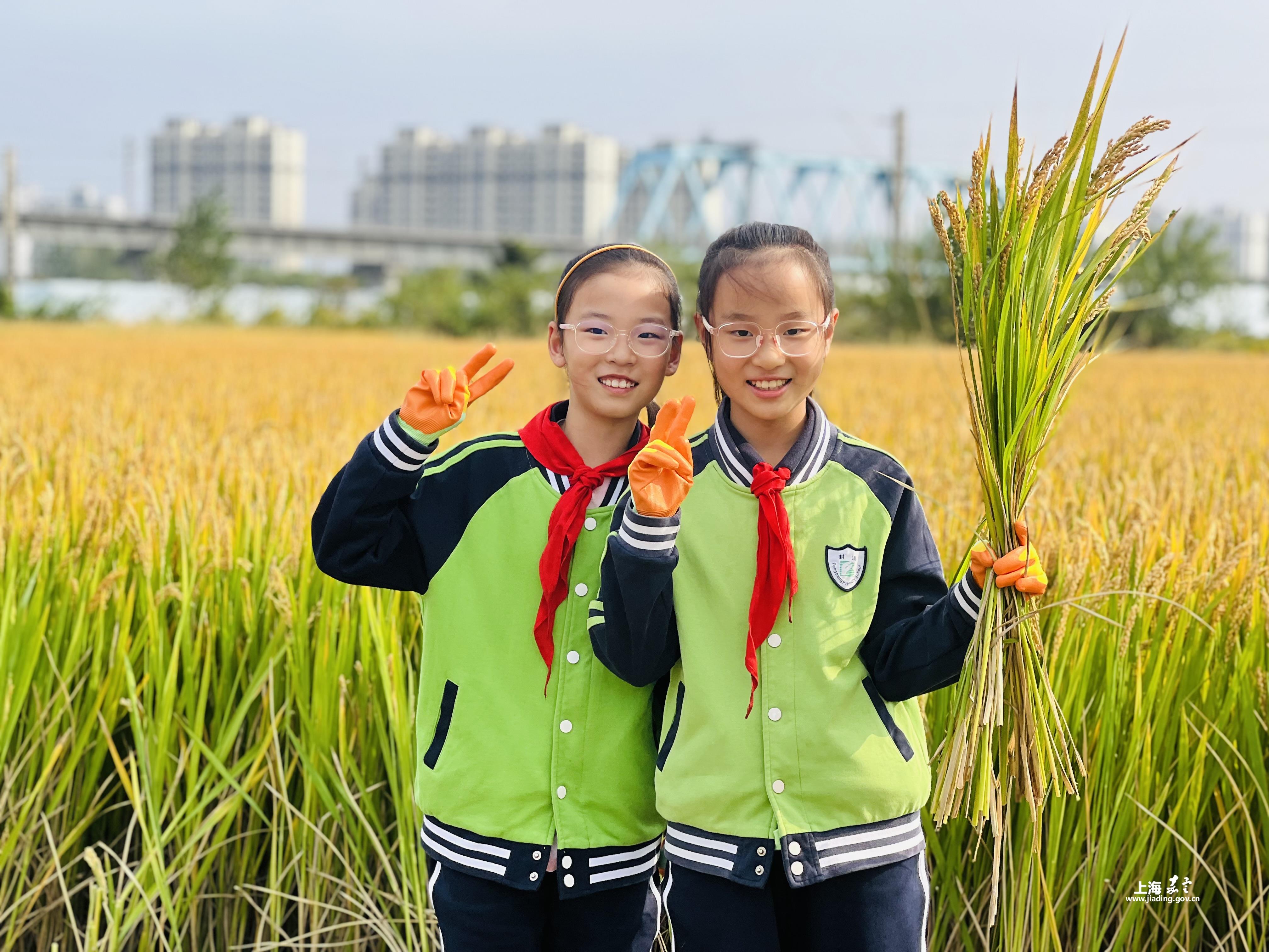 71a0d51bab8a43dda708ae0e700765dd.JPG 71a0d51bab8a43dda708ae0e700765dd.JPG