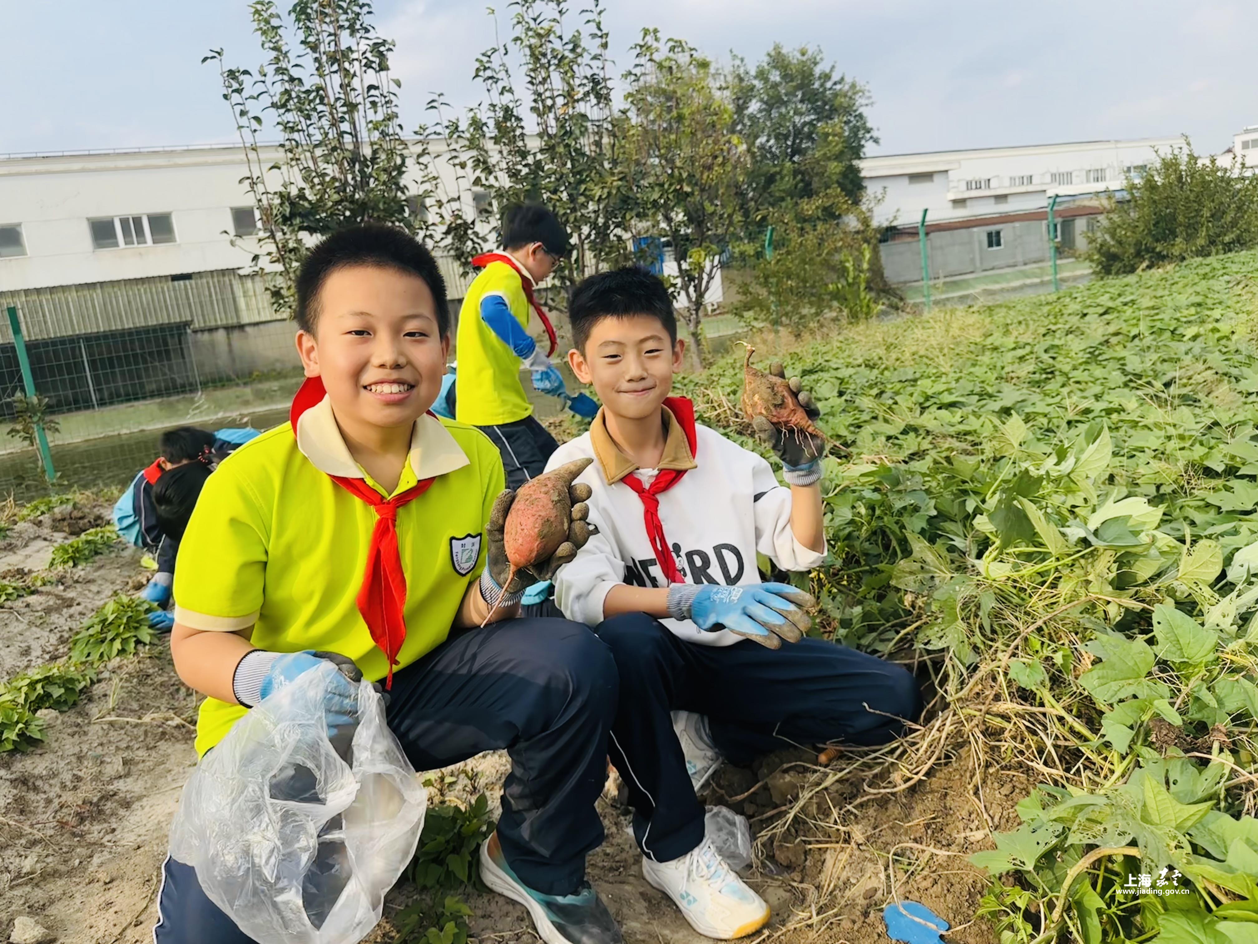 7e88319c359f422dbba39b82f4ae1ef2.jpg 7e88319c359f422dbba39b82f4ae1ef2.jpg