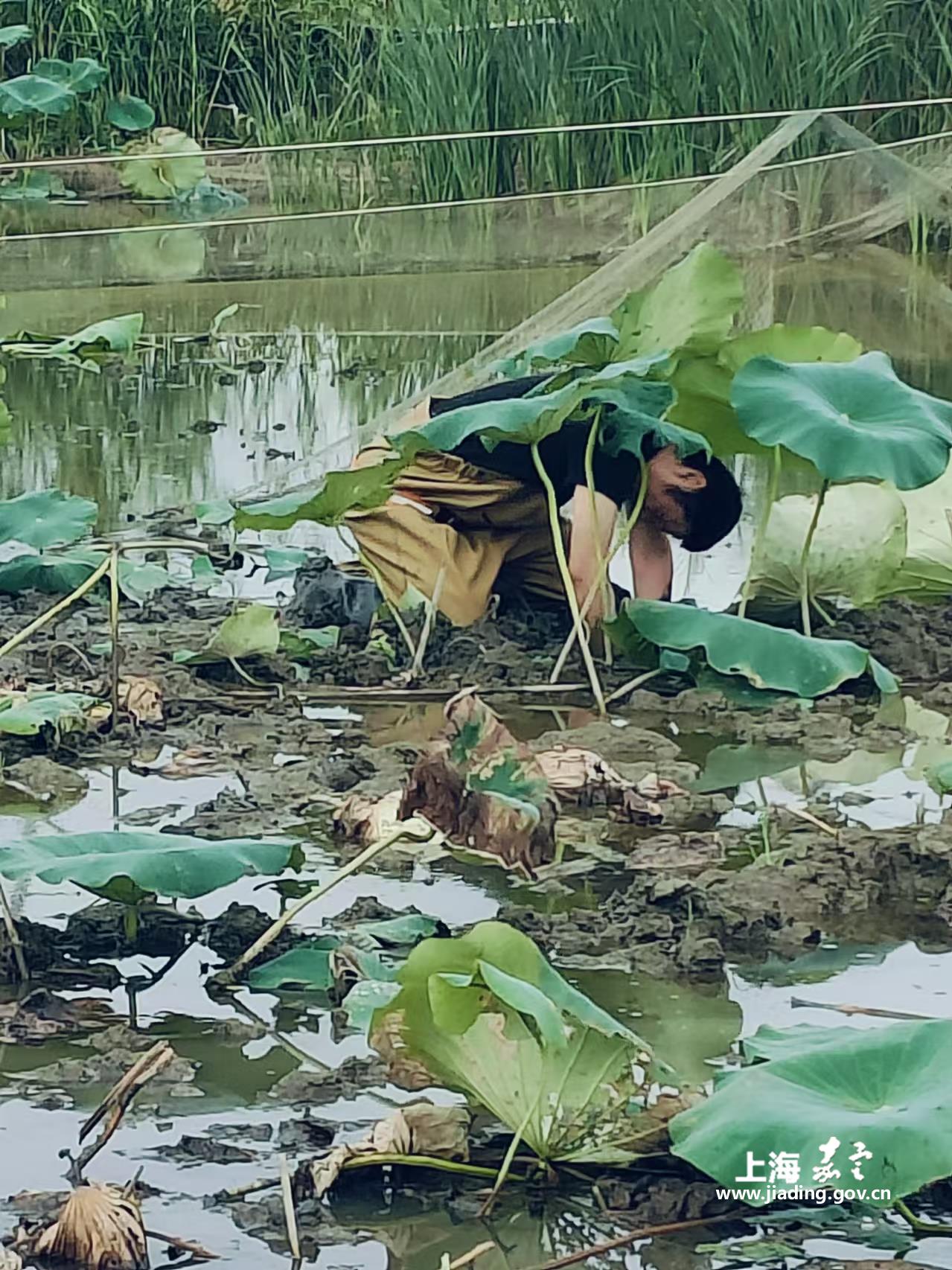 9992b04243ae40e78615fb648ef65909.jpg 9992b04243ae40e78615fb648ef65909.jpg