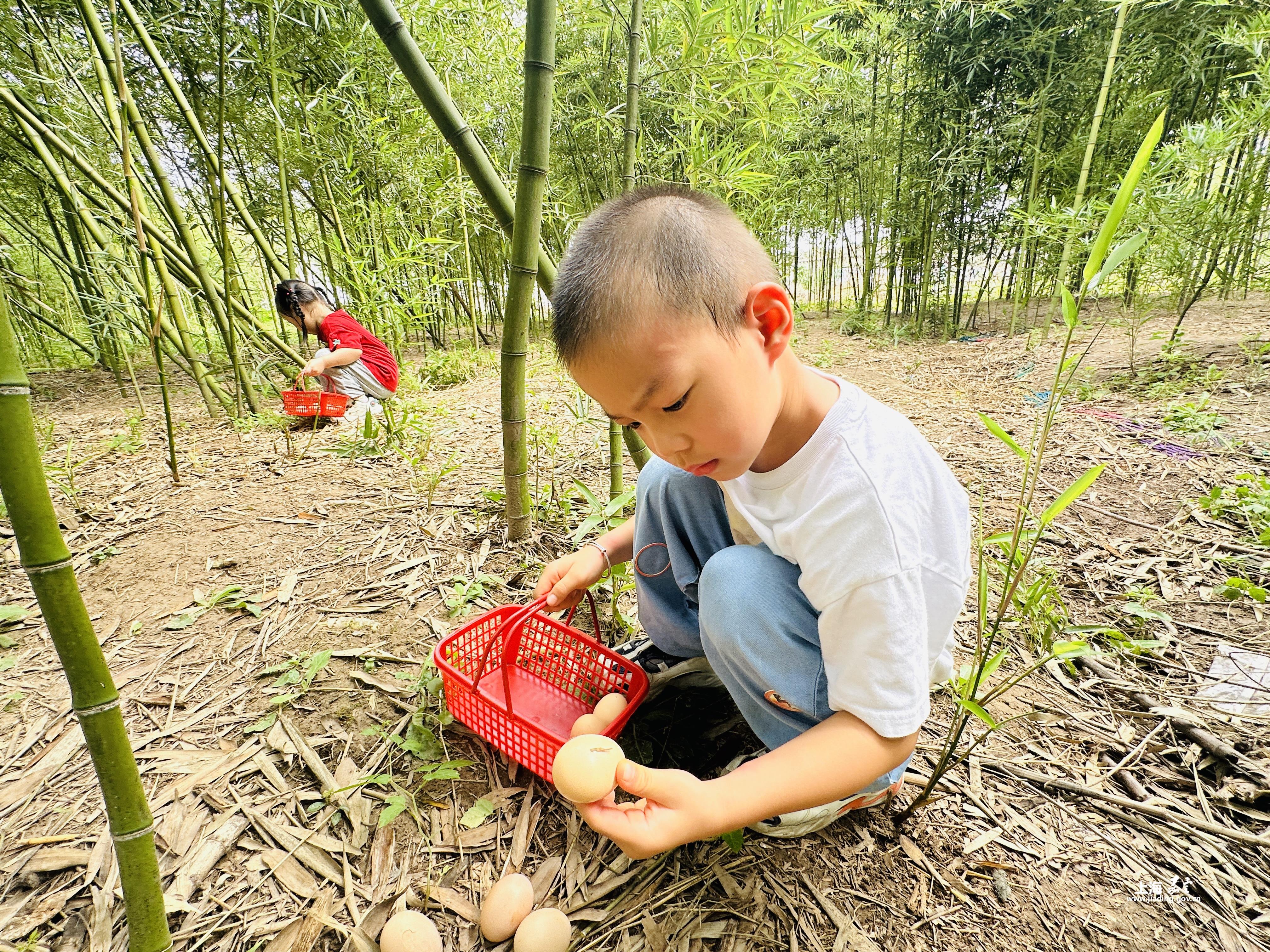 9dec393c27ad412ca7be1a40d0f9b841.jpg 9dec393c27ad412ca7be1a40d0f9b841.jpg