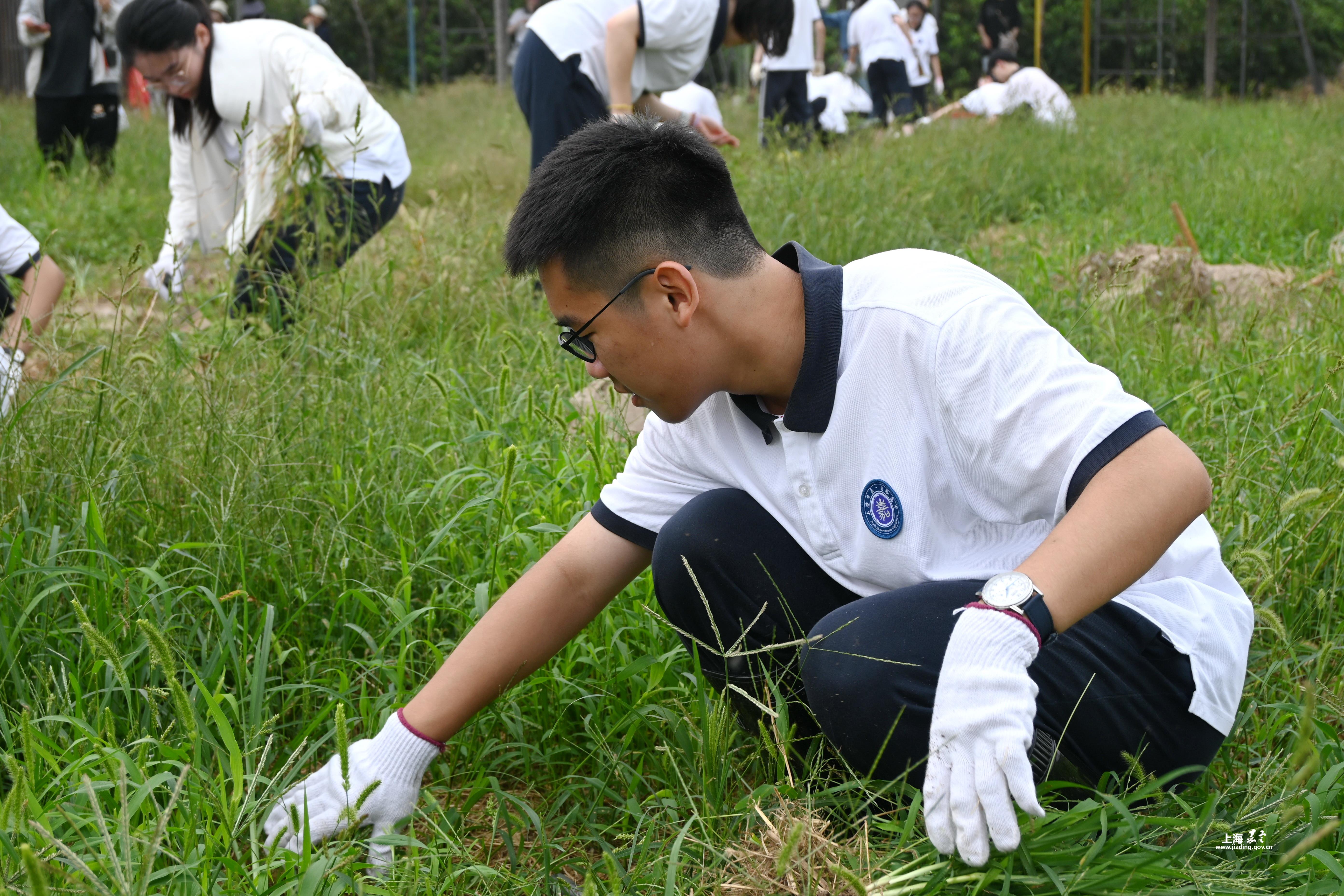 be9a233eabd54eb6b8a0ec75cad44e60.jpg be9a233eabd54eb6b8a0ec75cad44e60.jpg