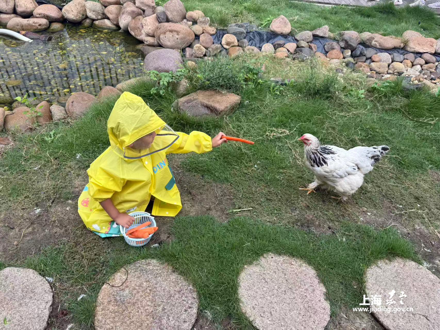 c90cf7f9303e4f46bae29d0c7c4fb822.jpg c90cf7f9303e4f46bae29d0c7c4fb822.jpg